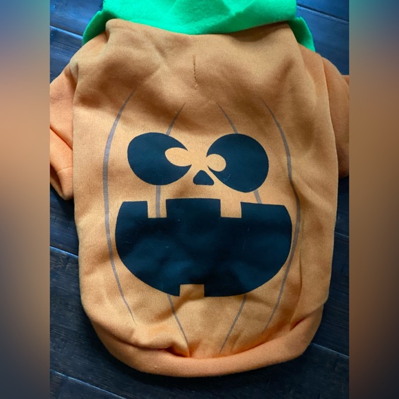 Pumpkin Halloween hooded pet costume - Medium - cat or small dog 🎃 - Picture 6 of 9
